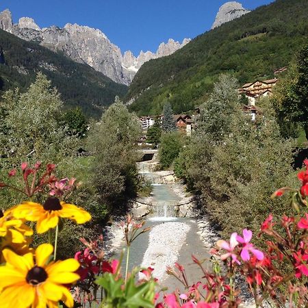 Villa Ginestra Molveno Rum bild